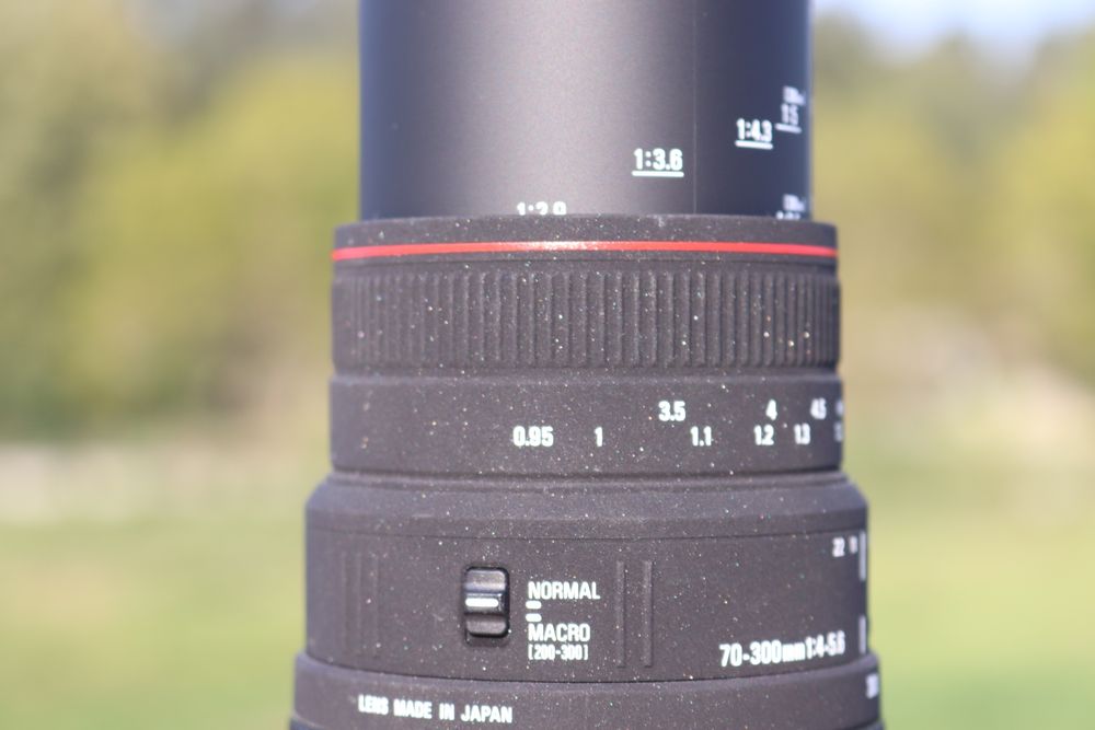 Sigma 70-300 mm F/4-5.6 APO DG Macro (Nikon AF)
