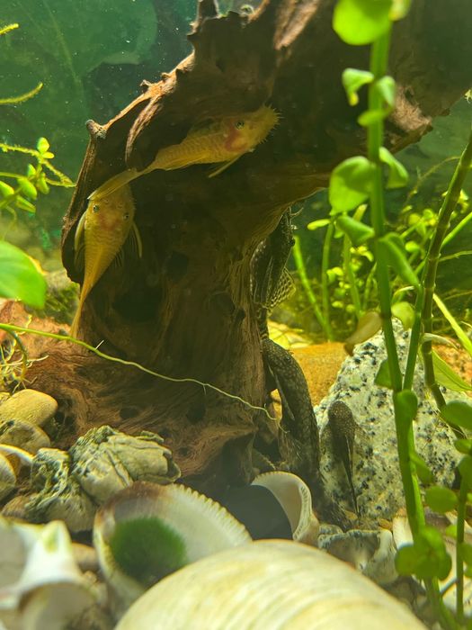 Sprzedam akwarium 112l