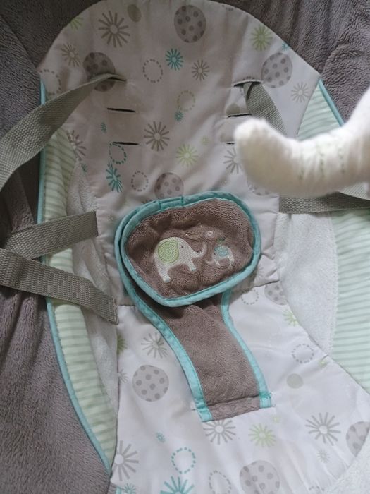 Bujak bujaczek dla dziecka