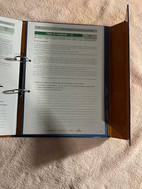 "Economia 11" - 11º ano - Economia -  Projeto PROFESSOR