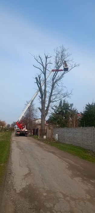 Podnośnik koszowy Odśnieżanie dachów zwyżka Wycinka drzew rębakowanie