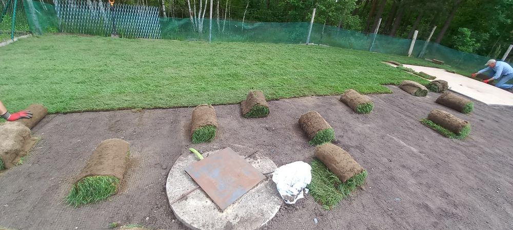 Trawa trawnik z rolki sprzedaż transport montaż wysyłki