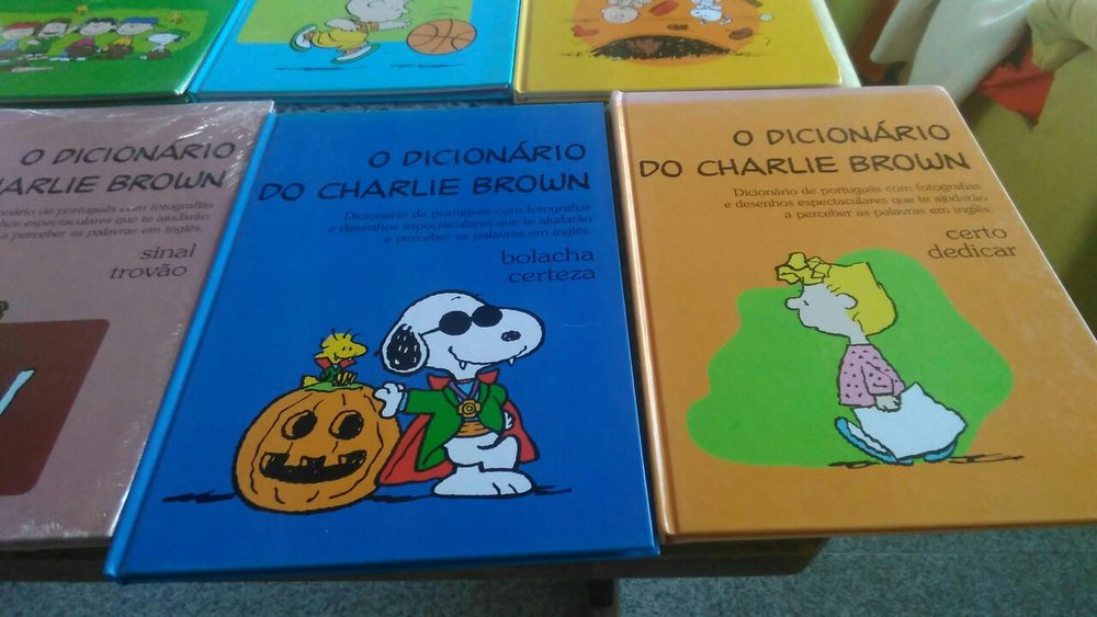 Vários dicionários novos