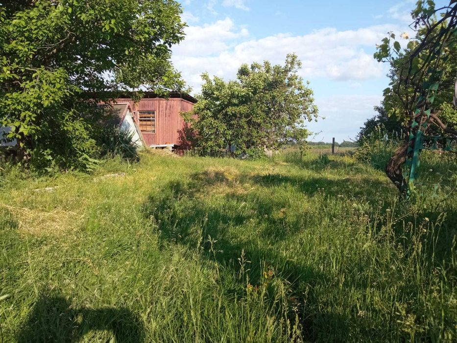 Продам будинок в селі Дубіївка