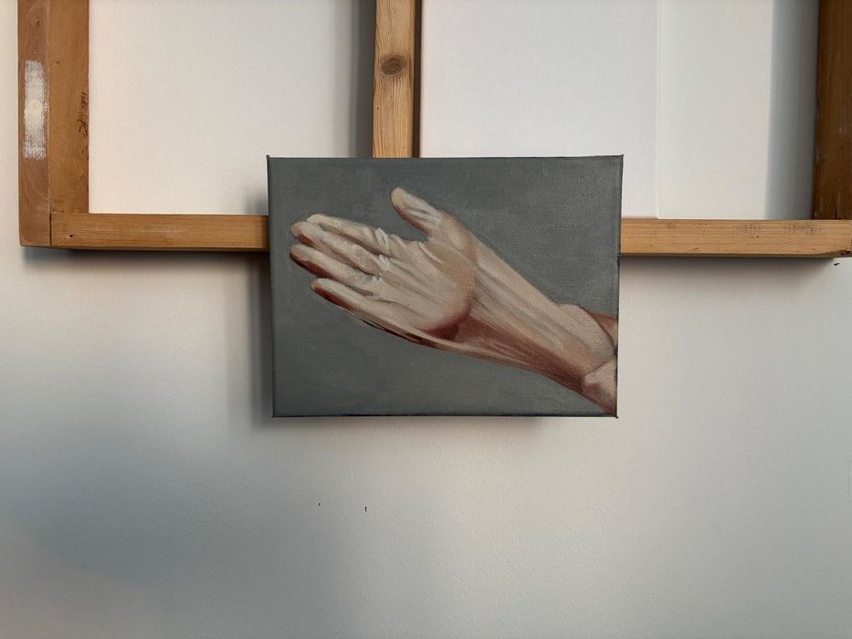 Obraz olejny Skin 1 na płótnie  16x23