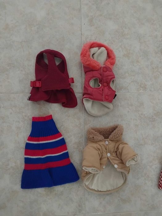 5 Casacos, capas tamanho xs para cao