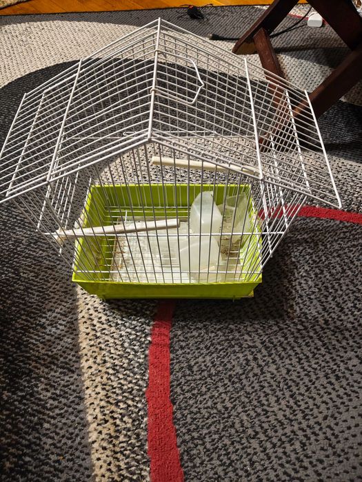 Gaiola para passaro