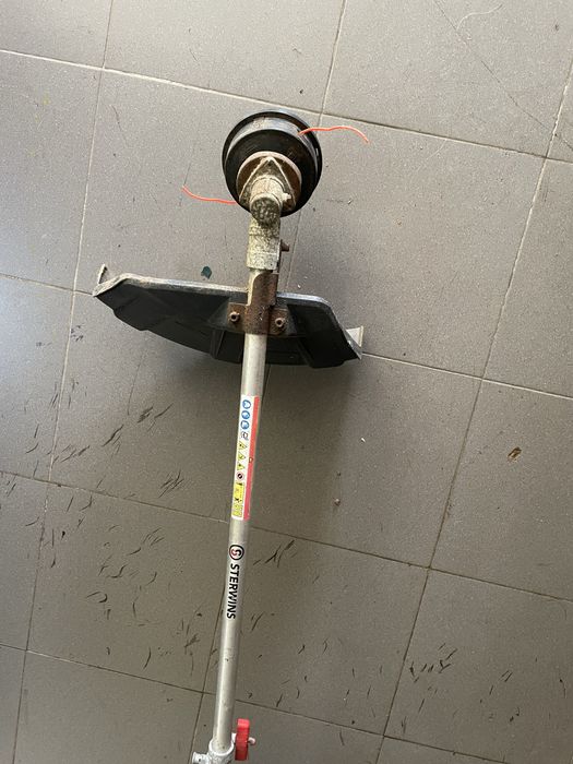 Rosadeira em bom estado