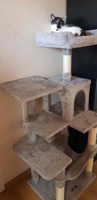 Drapak dla kota Wysoki duży drapak dla kota domek legowisko 143cm NOWY