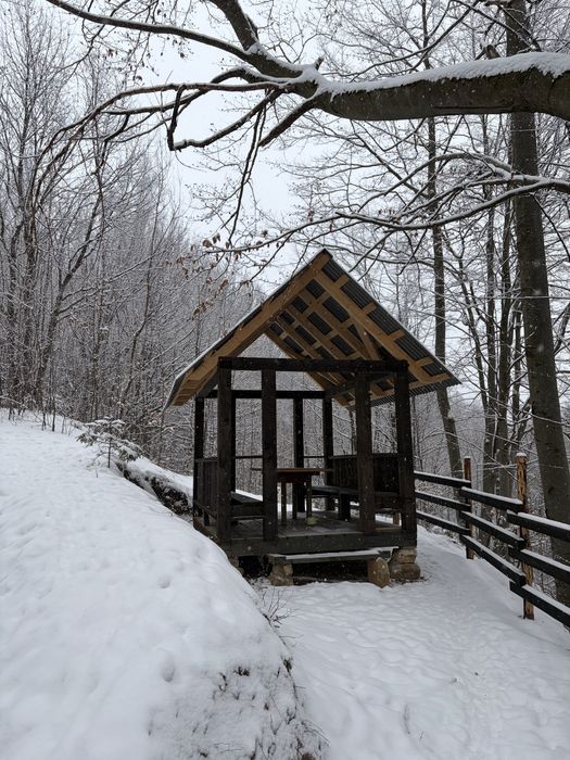 Подобова оренда будинку,шале,афрейм,апартаменти,трикутний дім в Карпат