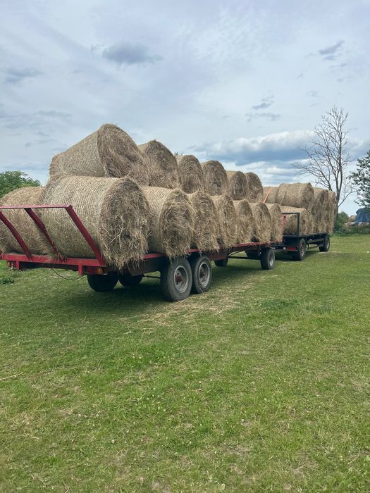 Sprzedam Siano belach