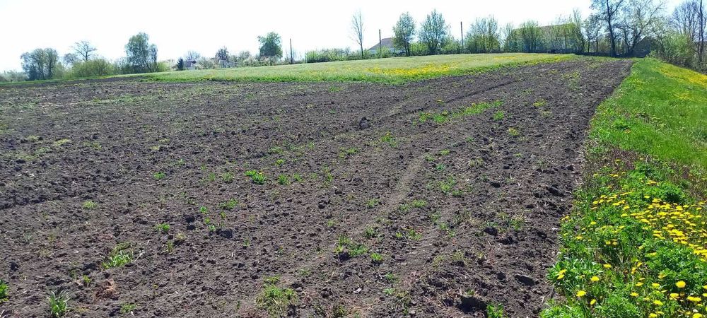 Продам будинок Уланів ( село Рибчинці )
