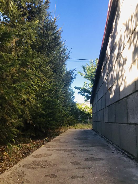 House by the address (area 248 m²) - Atlanta.ua - photo 15