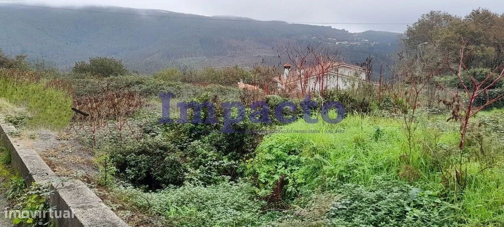 Terreno rústico em Palmaz, Oliveira de Azeméis — Pinheiro Da Bemposta, Travanca E Palmaz, Aveiro