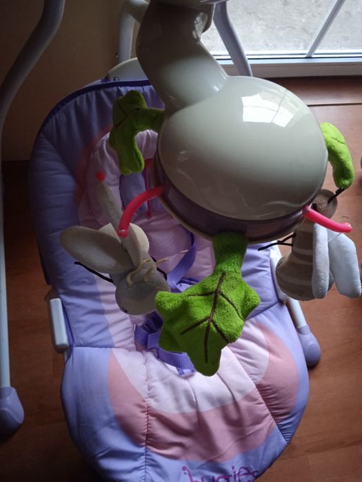 Hustawko bujak bugies