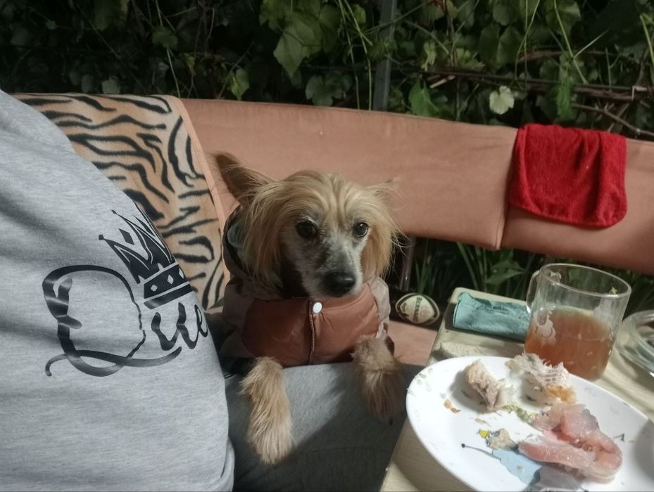 Хлопчик на годину)