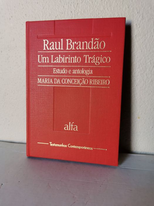 Testemunhos contemporâneos