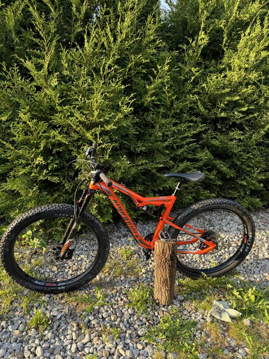 Rower Enduro Caniondale