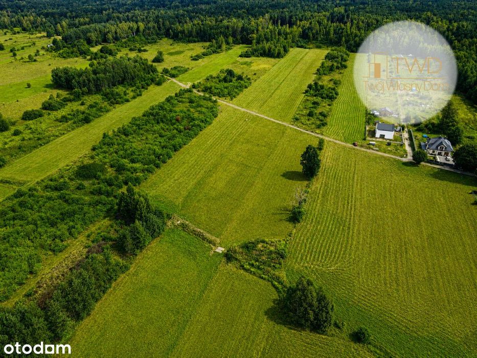 Dąbrowa Górnicza, Błędów - 546 m²