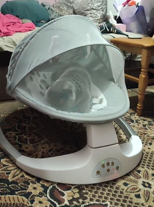 Заколисуючій центр