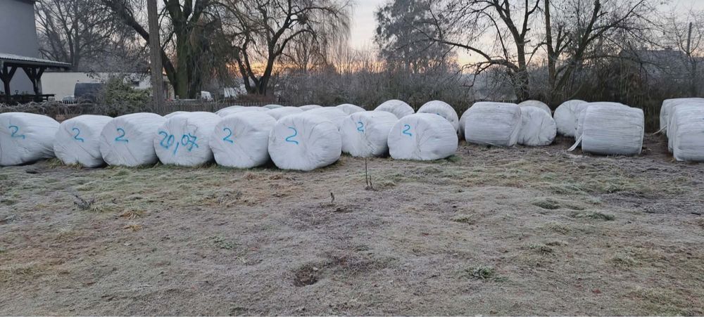 Sianokiszona zeszłoroczna