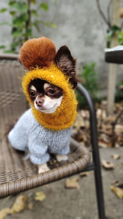 Комплект Шапка і шарф