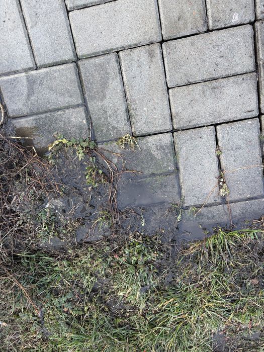 Mycie ciśnieniowe kostki brukowej oraz mycie elewacji