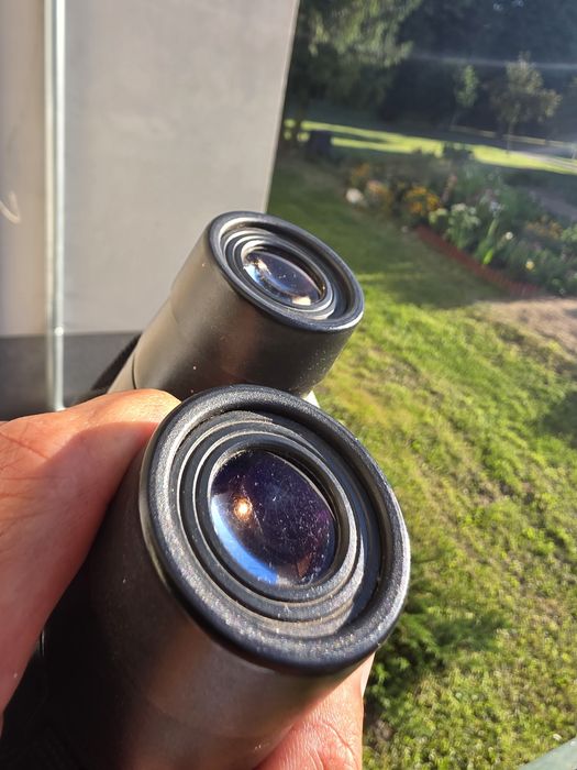 Lornetka Zeiss Victory 8x56 B TP