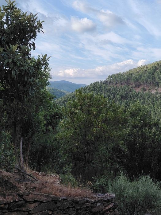Vistas deslumbrantes, no meio da natureza, em Ribeira de Pena.