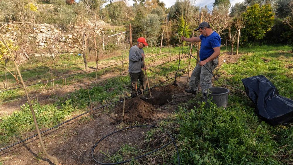 Vende‑se Quinta do Vale — 7 hectares de natureza viva