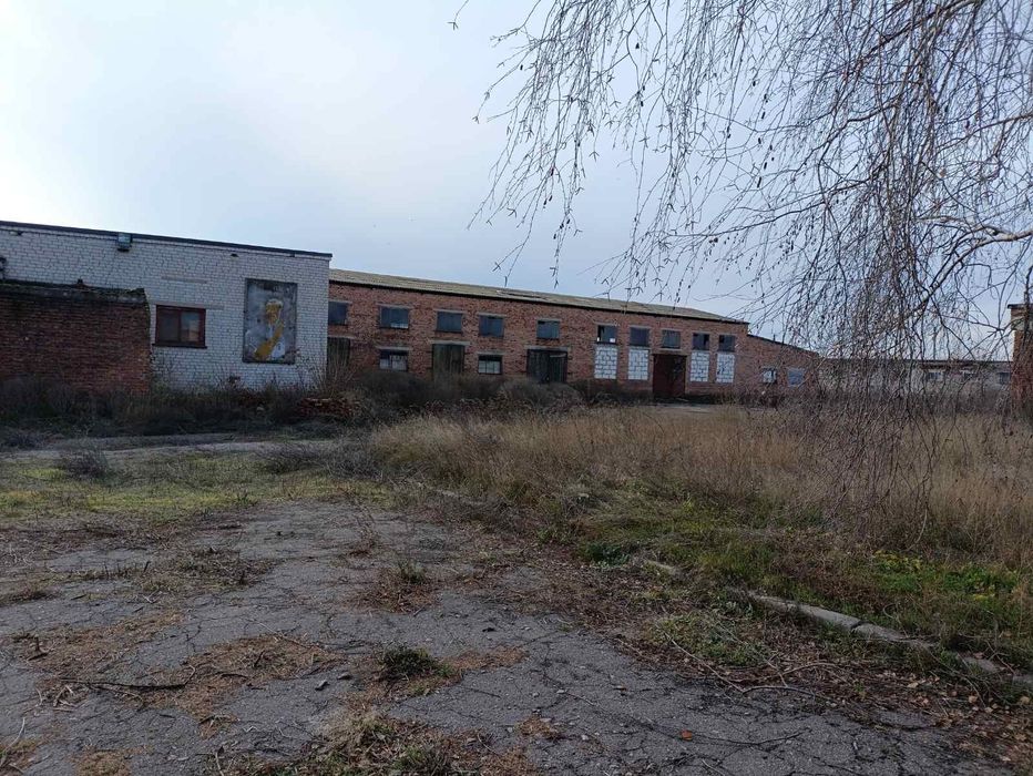 Підприємство по переробці сої, соєва переробка