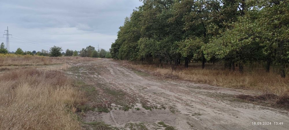 Продаж земельної ділянки ОСГ 1 га в Зазим’я біля річки Десна