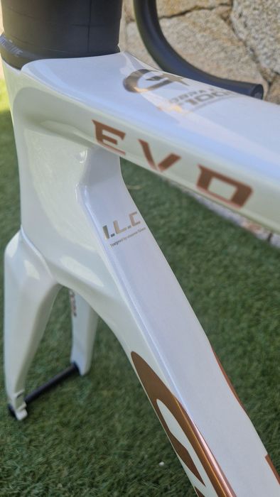 Quadro Gusto Cobra EVO