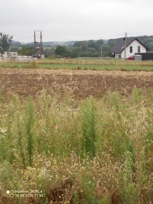 Sprzedam działkę budowlaną - Widok 3