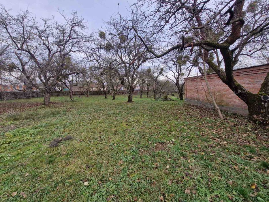 Продаж будинку у селі Дашківці