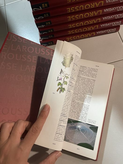 Enciclopedia larousse