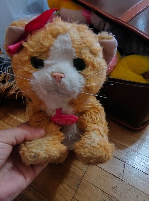 Продам котиків іграшкових