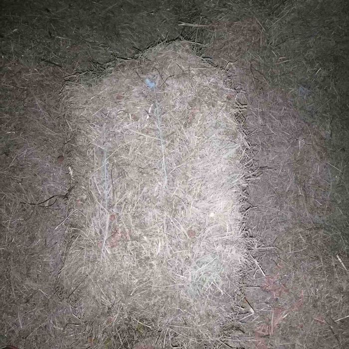 Продам лугове СІНО в тюках вага 20-25кг.ціна 90грн.