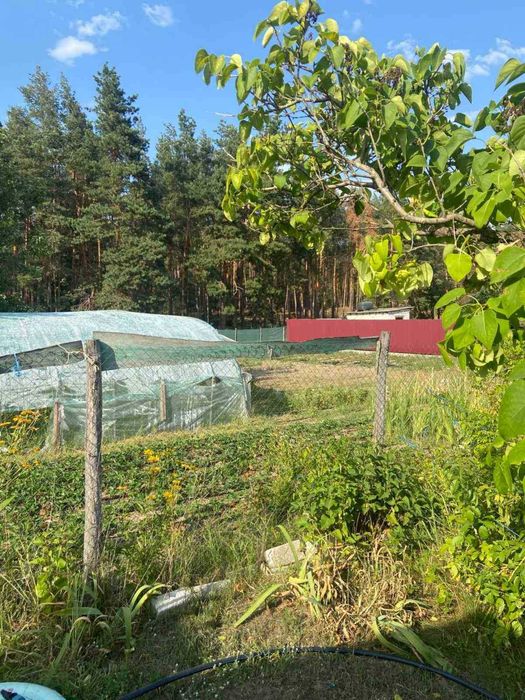 НОВА ЦІНА!!! Продається будинок в с. Нечаївка всього в 15км. від Черкас