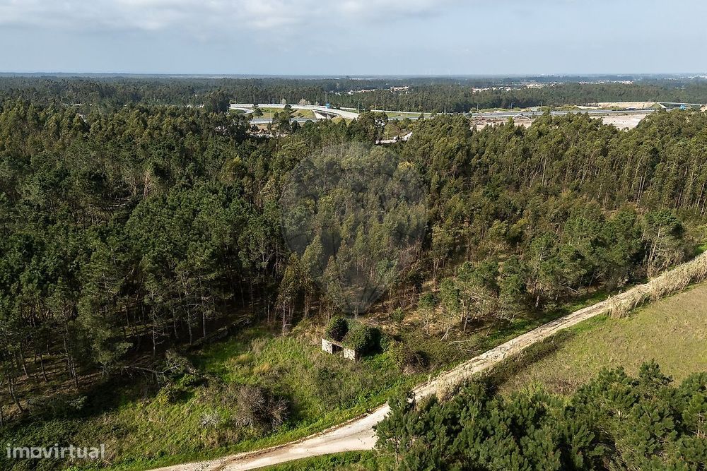 Terreno  para venda