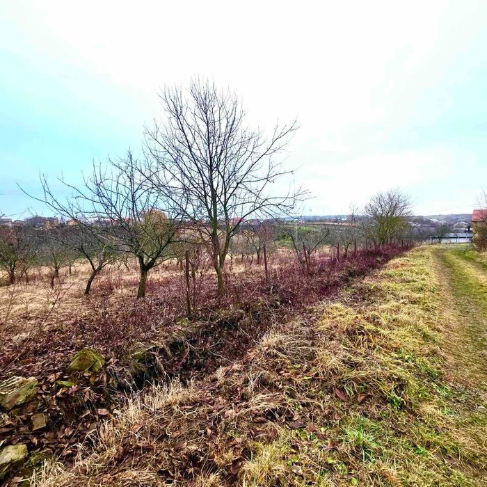 Продаж земельної ділянки. с. Верхня Білка-Львівське ОТГ