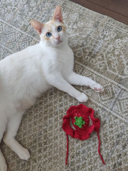 Chapéu de crochet para gato inspirado em morangos