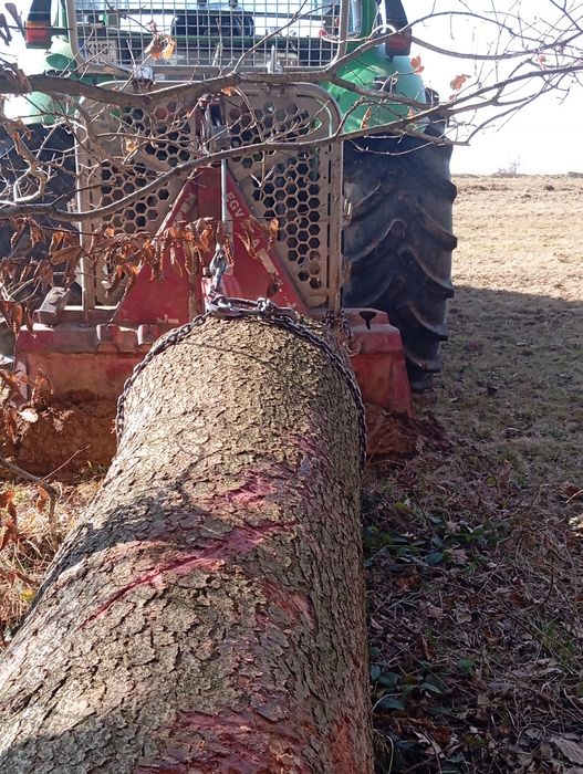 Uslugi leśne zrywka,wycinka drzew, skup drzewa na pniu