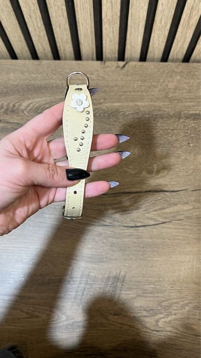 Ошийник світлий мʼякий всередині