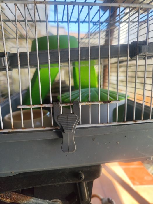 Gaiola grande de hamster