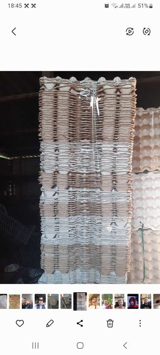 Яєчний картонний лоток