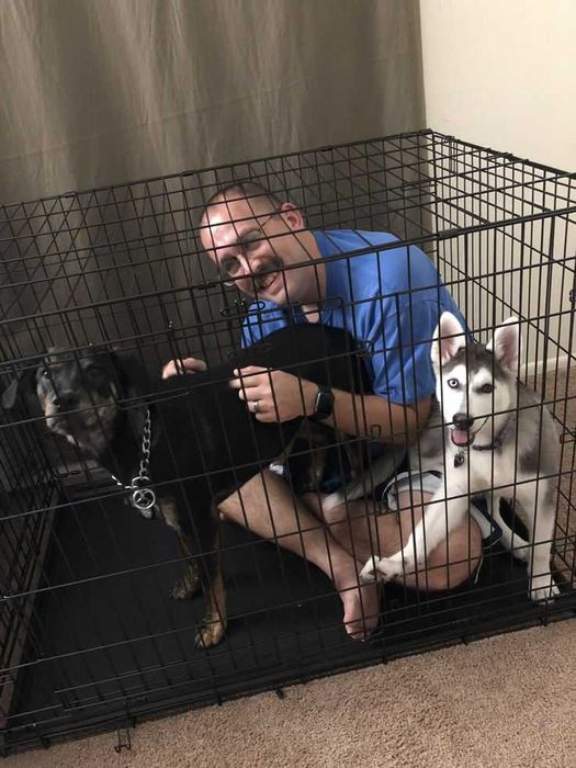 Клітка для собак та кішок S-XXL переноска манеж домик будка для собак