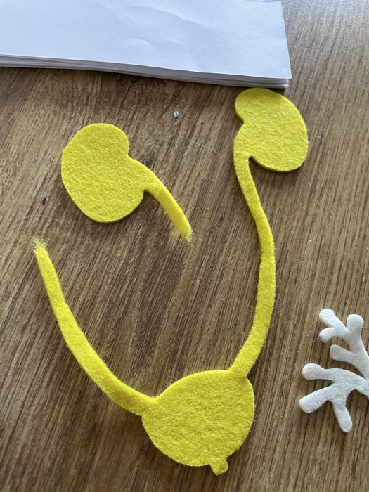 Biblioteczka Montessori Ciało człowieka Egmont