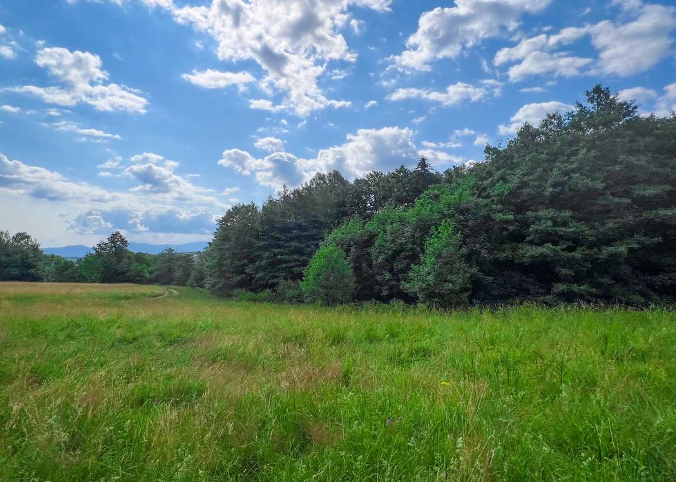 Działki budowlane rekreacyjne Nowa Bystrzyca Spalona 0,56ha