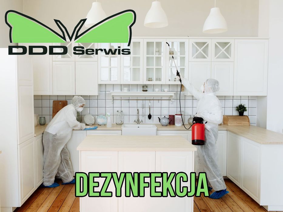 Dezynfekcja Dezynsekcja Deratyzacja, ULV Ozonowanie PLUSKWY PRUSAKI